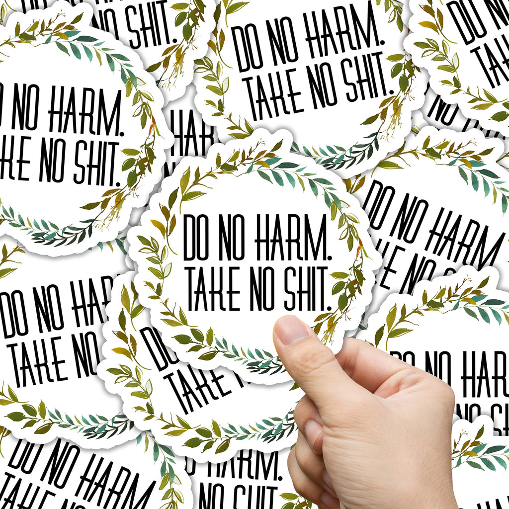 Do No Harm Take No Shit Sticker
