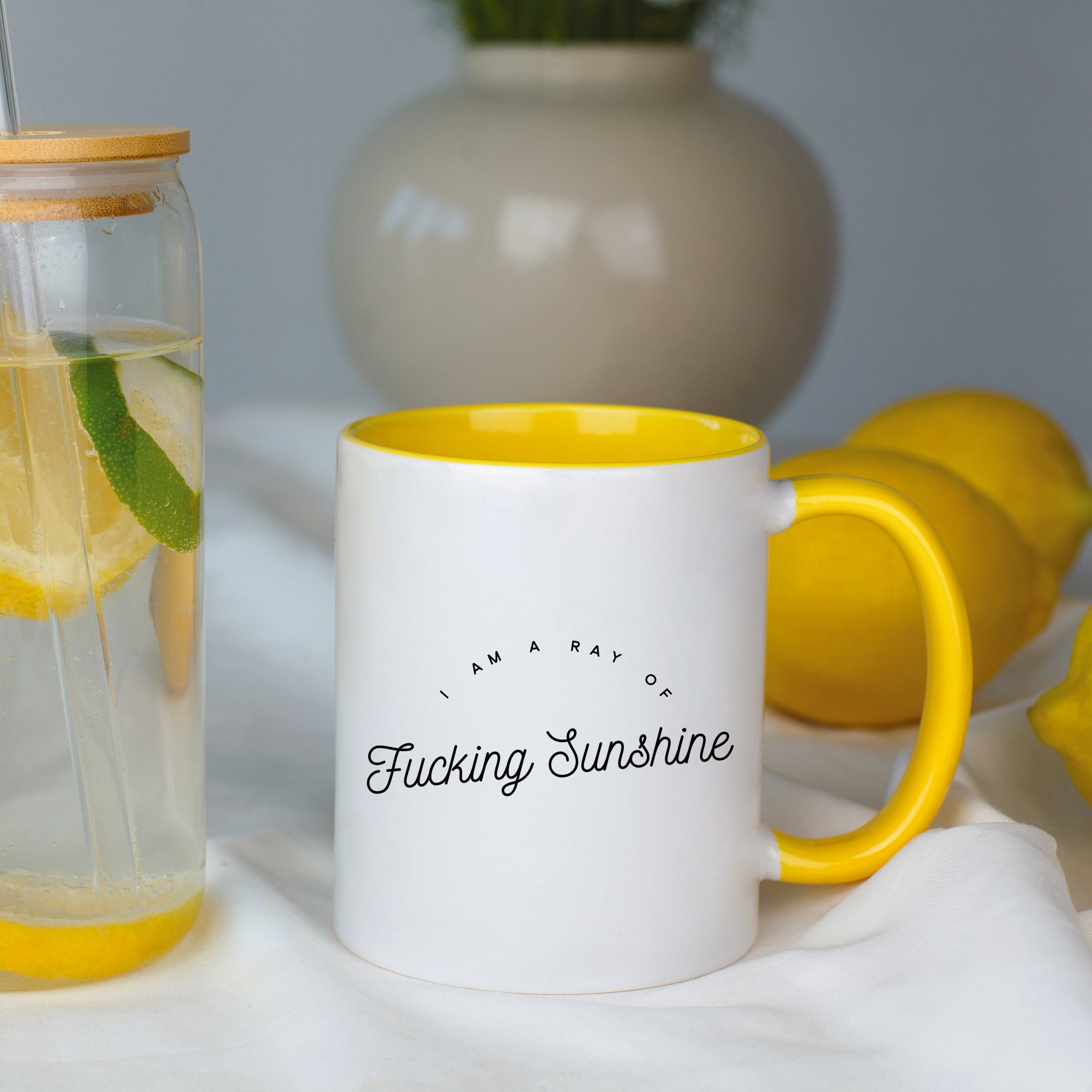 I am a Ray of Fucking Sunshine Mug
